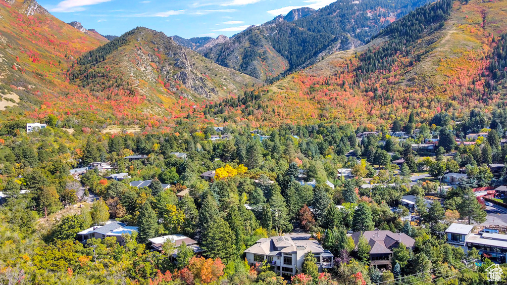 Drone / aerial view of a forest and a mountain backdrop