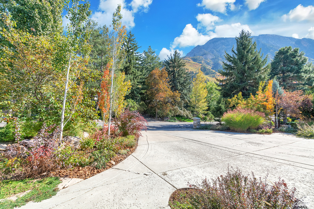 View of road with a mountain view