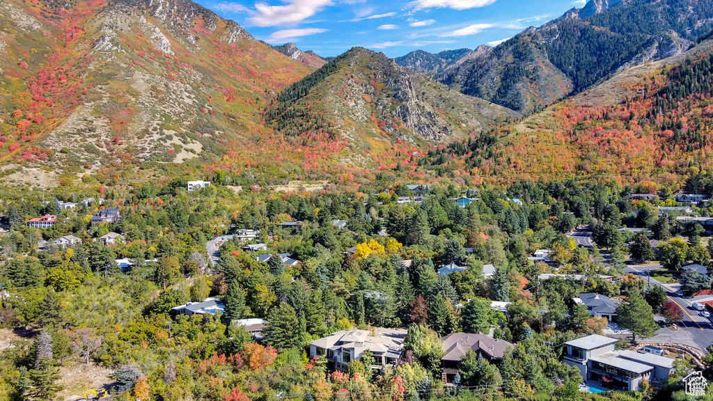 View of mountain background with a heavily wooded area