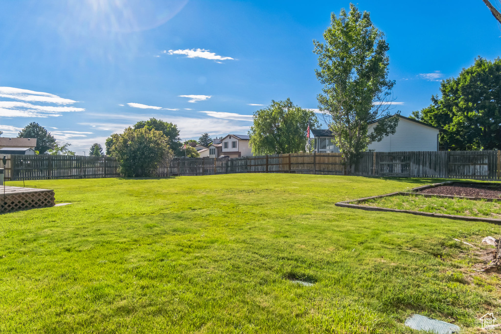 View of fenced backyard