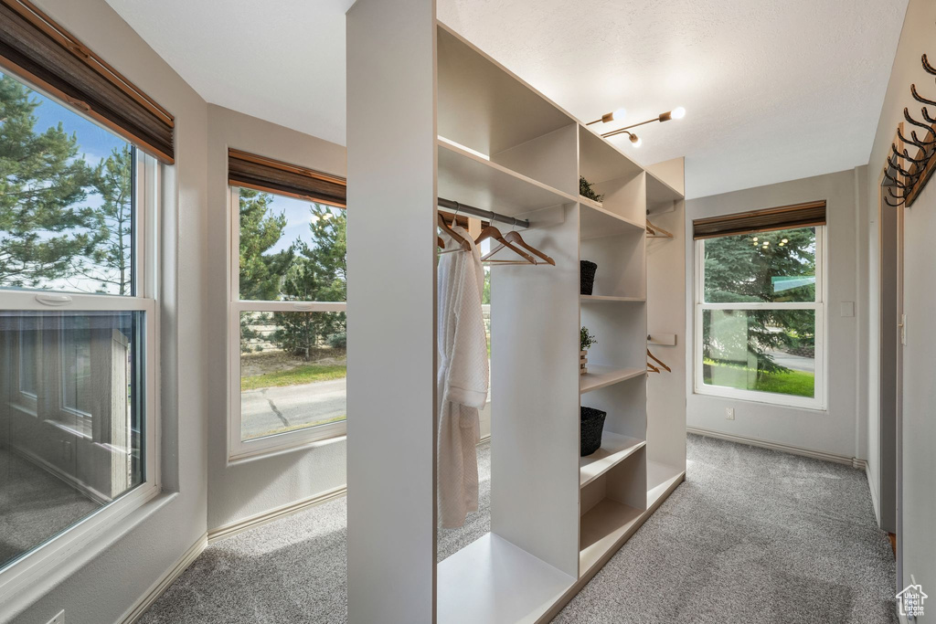 Spacious closet featuring carpet flooring