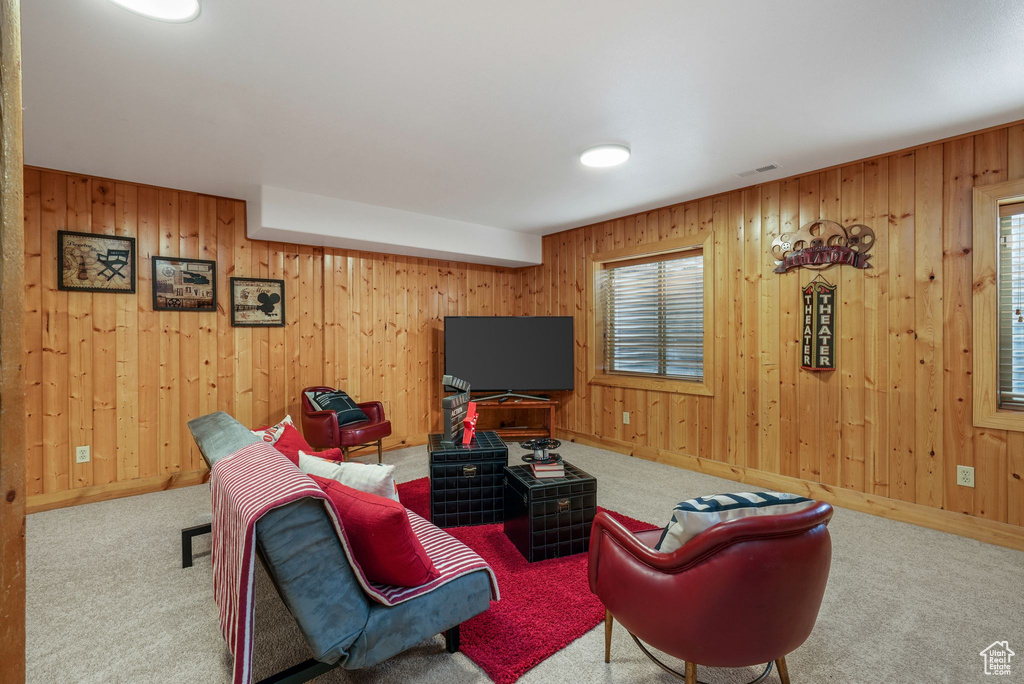 Carpeted living area featuring wooden walls and plenty of natural light