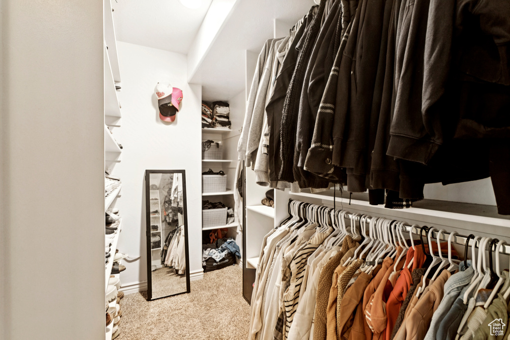Spacious closet featuring carpet flooring