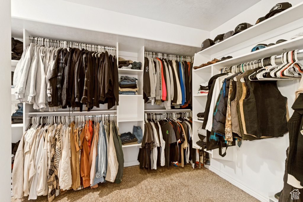 Walk in closet with carpet flooring
