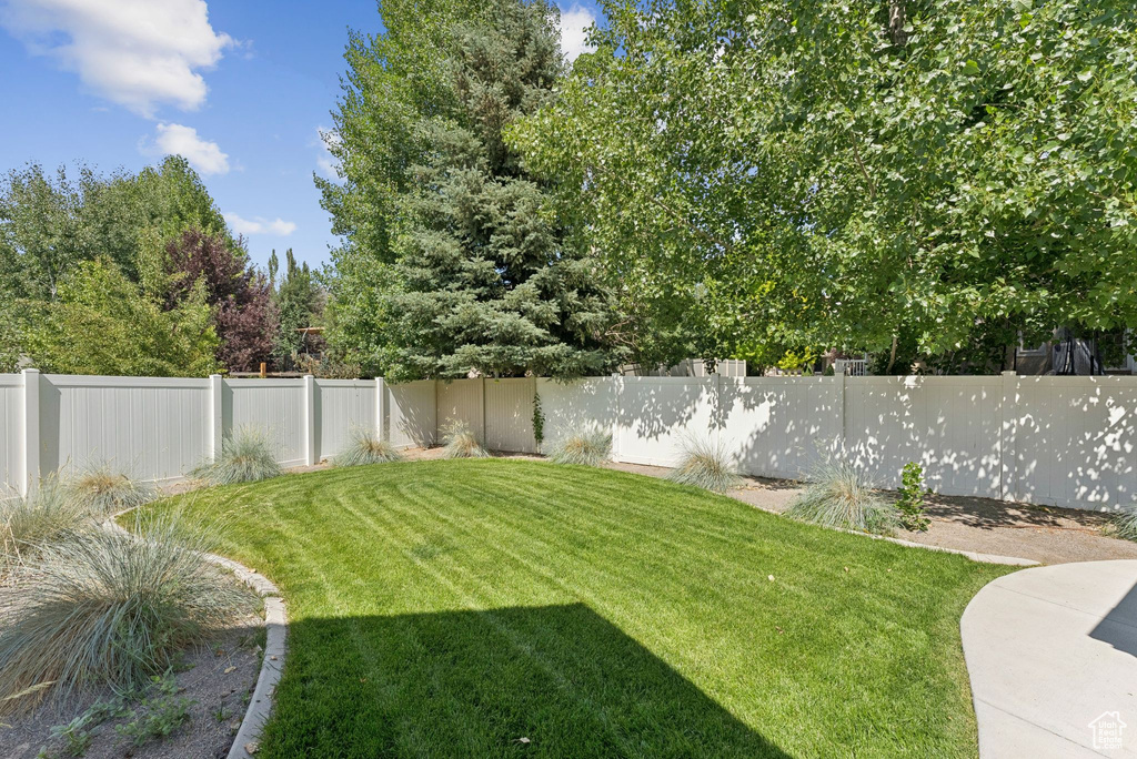 View of fenced backyard