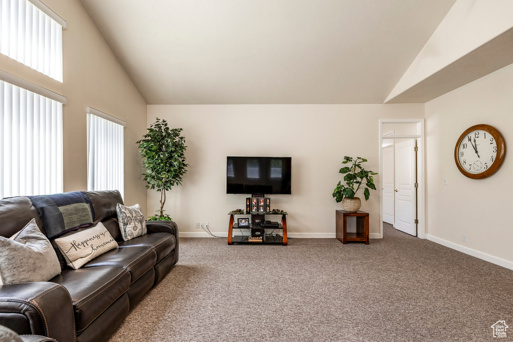 Carpeted living area with baseboards and high vaulted ceiling