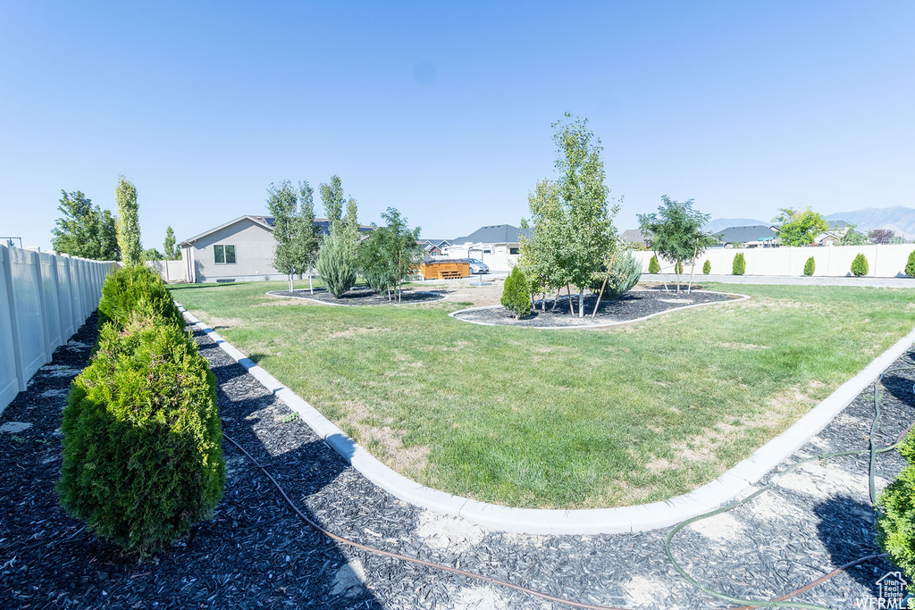 View of fenced backyard