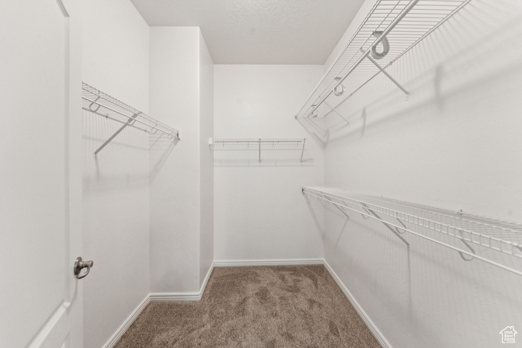 Spacious closet with carpet floors