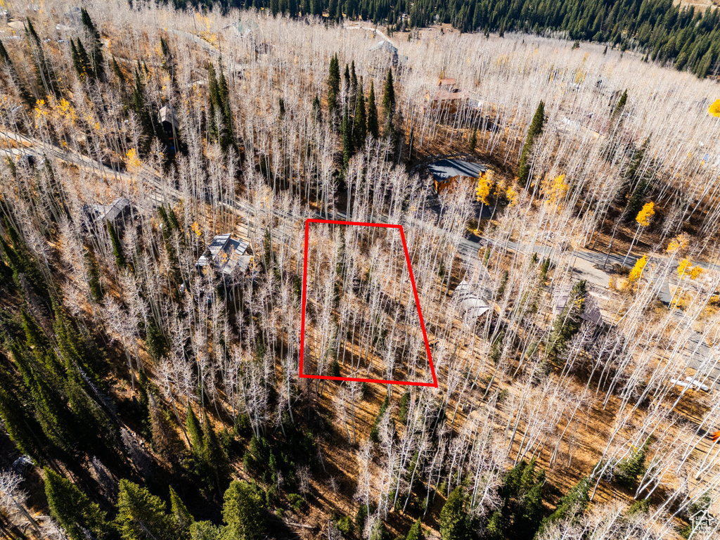 12385 E FOREST RD Brighton, UT 84121