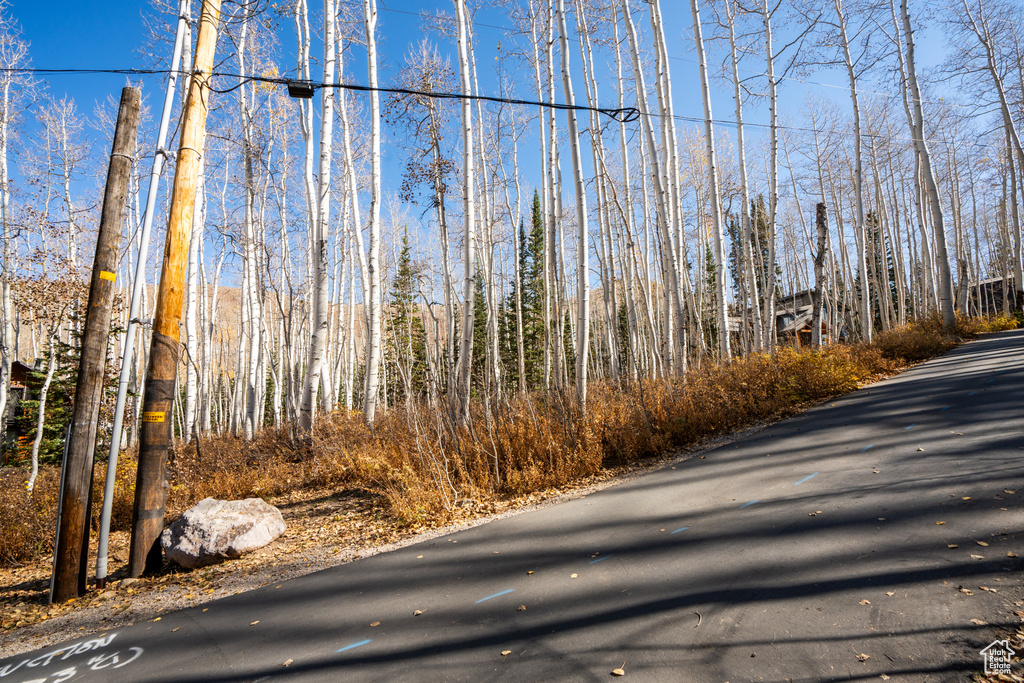 12385 E FOREST RD Brighton, UT 84121