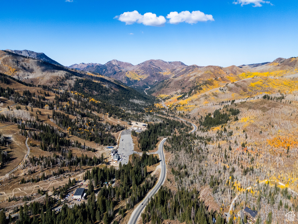 12385 E FOREST RD Brighton, UT 84121