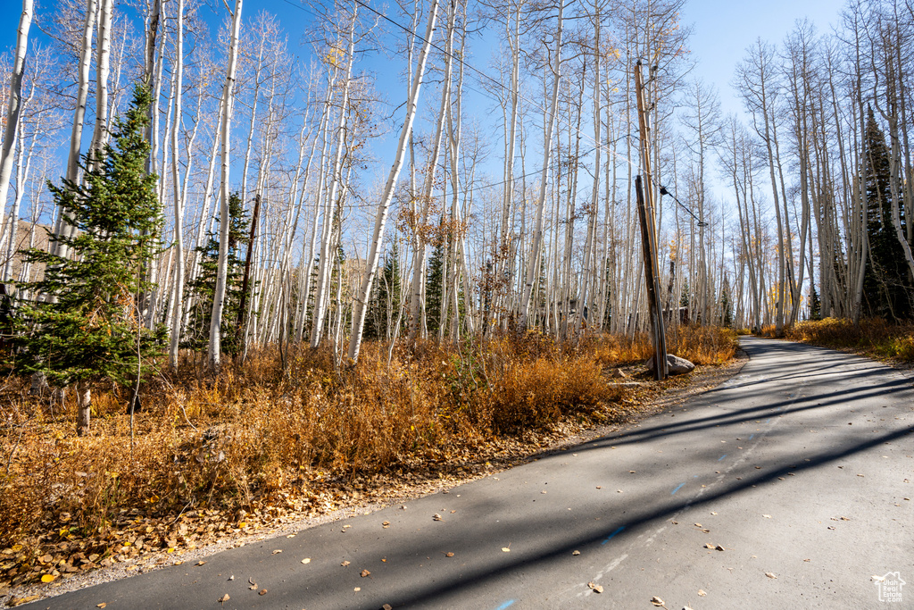 12385 E FOREST RD Brighton, UT 84121