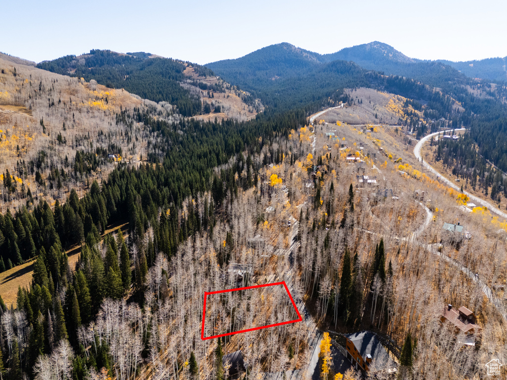 12385 E FOREST RD Brighton, UT 84121