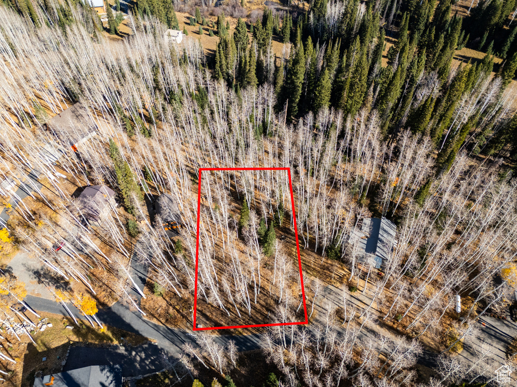 12385 E FOREST RD Brighton, UT 84121