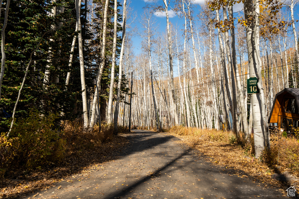 12385 E FOREST RD Brighton, UT 84121