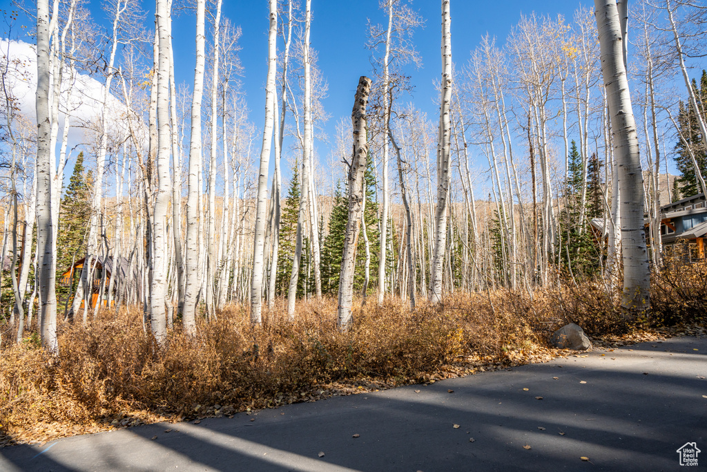 12385 E FOREST RD Brighton, UT 84121