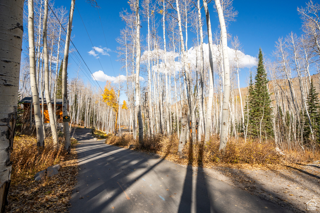 12385 E FOREST RD Brighton, UT 84121
