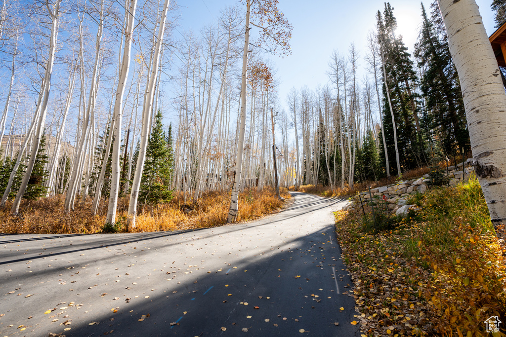 12385 E FOREST RD Brighton, UT 84121