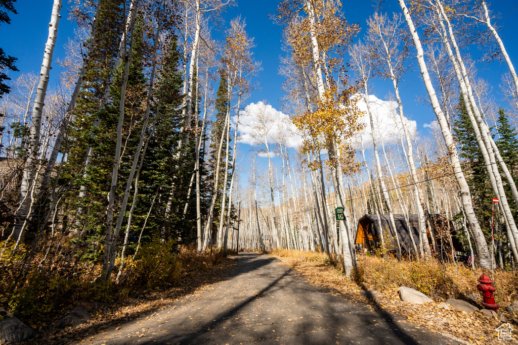 12385 E FOREST RD Brighton, UT 84121