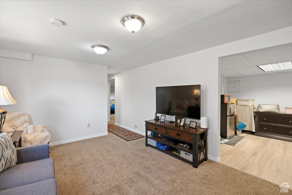 Living room with carpet