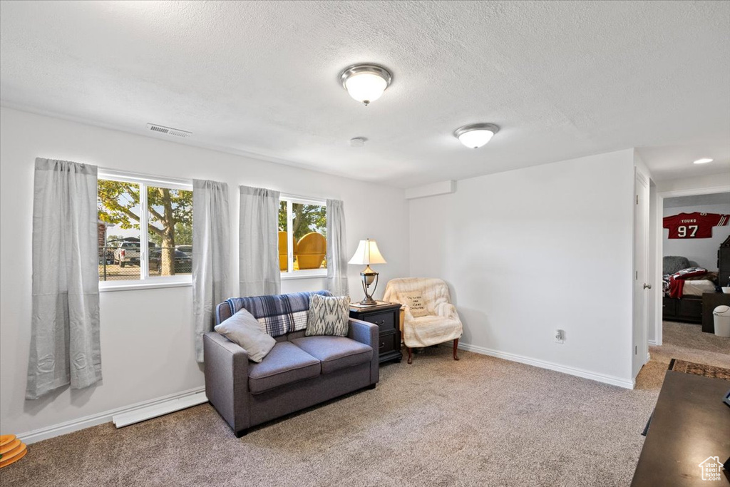 Sitting room featuring carpet flooring, a textured ceiling, and baseboard heating