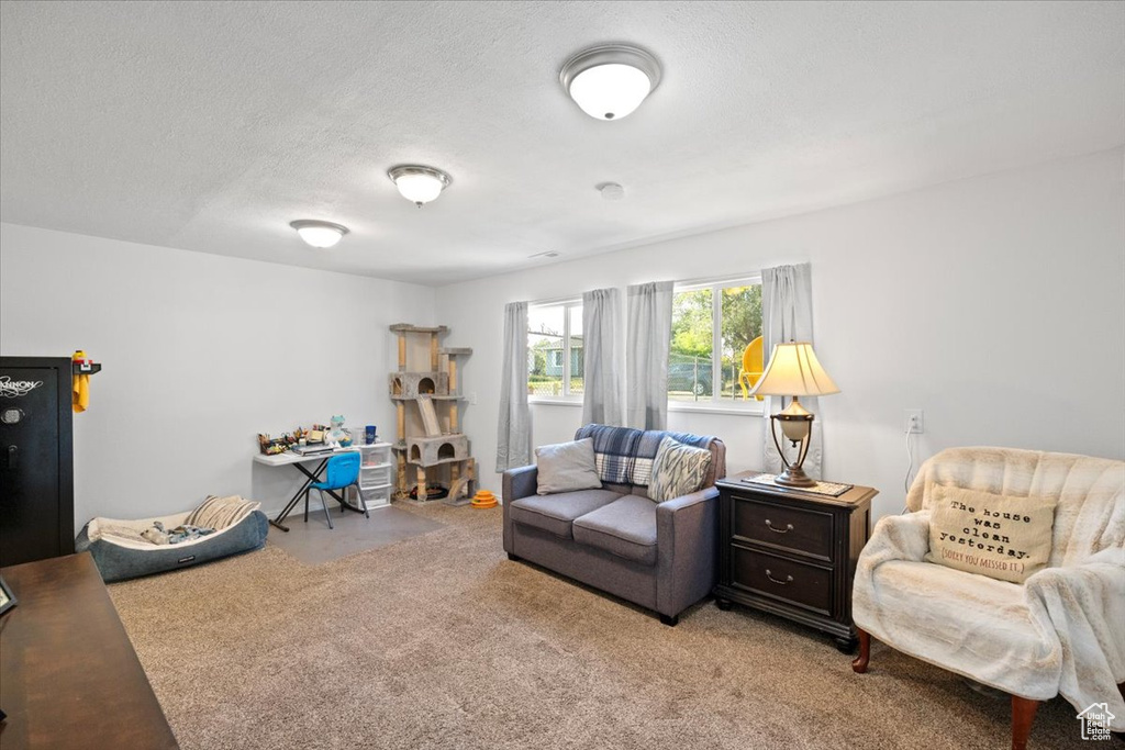 Carpeted living room with a textured ceiling