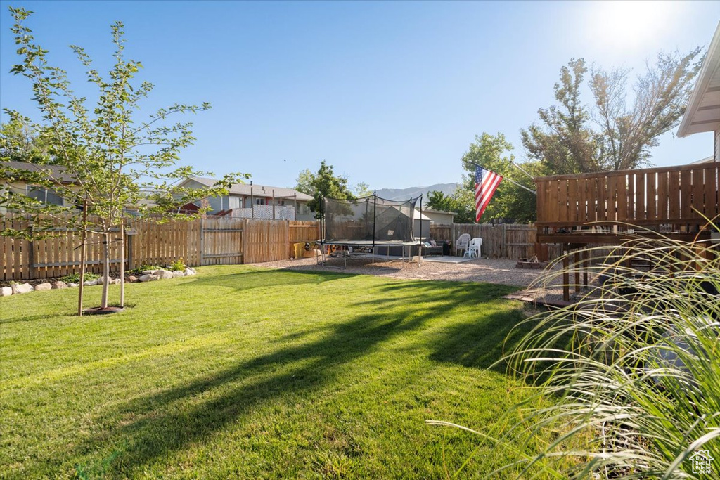 Fenced backyard with a trampoline