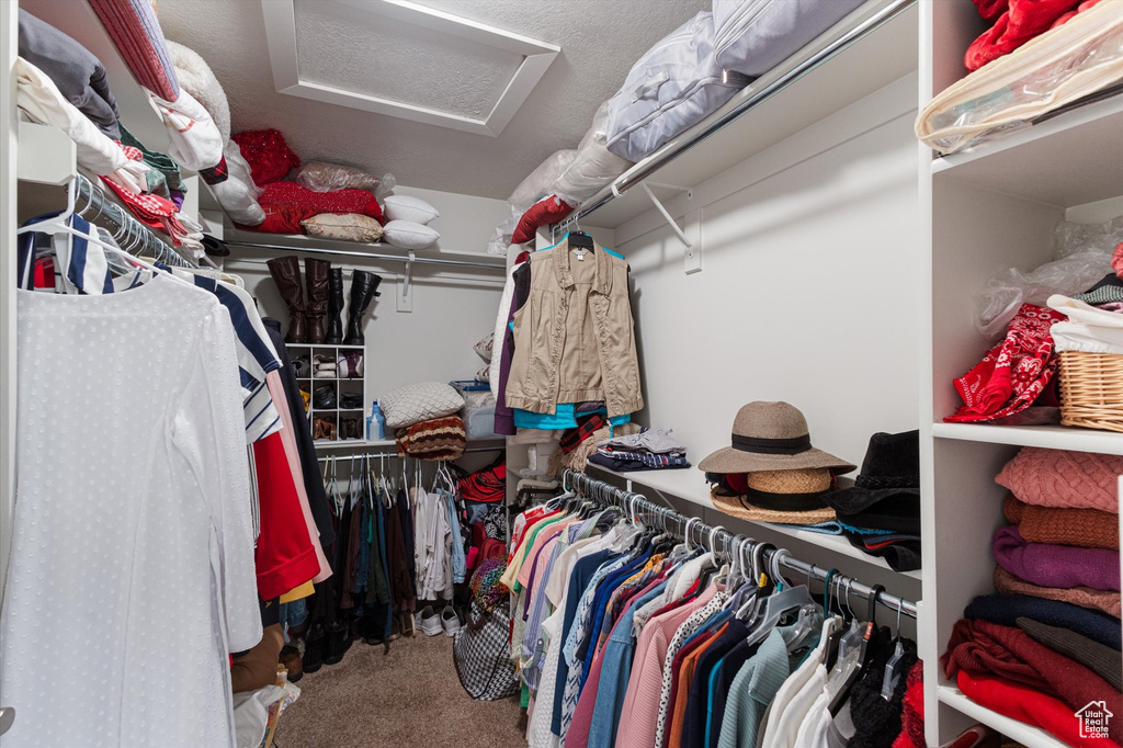 Walk in closet featuring attic access and carpet flooring