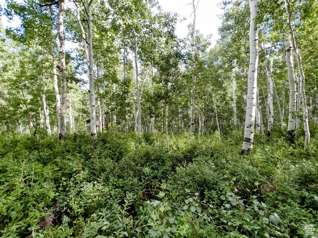 11457 E MARIGOLD LN Heber City, UT 84032