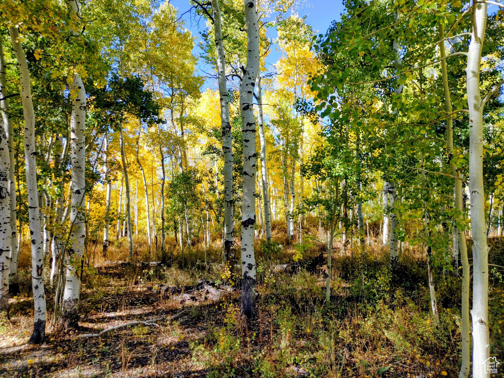 11457 E MARIGOLD LN Heber City, UT 84032