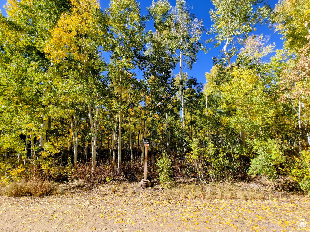 11457 E MARIGOLD LN Heber City, UT 84032