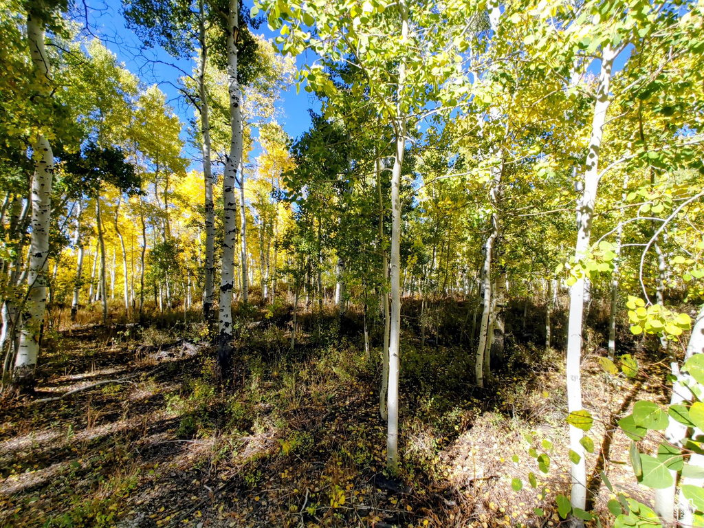 11457 E MARIGOLD LN Heber City, UT 84032