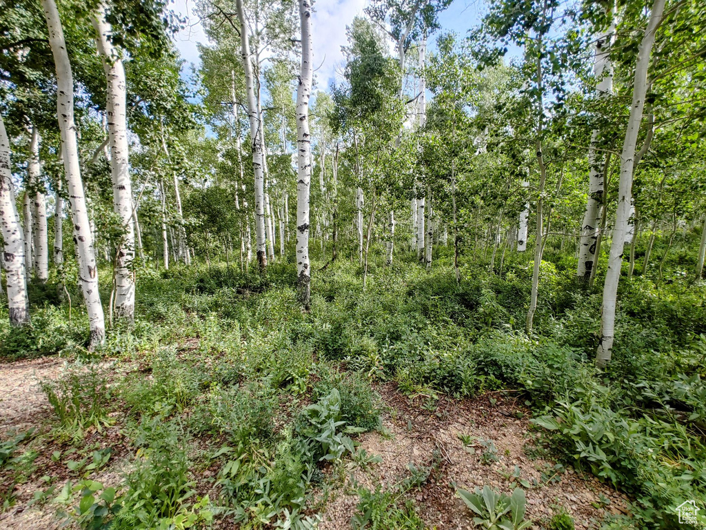 11457 E MARIGOLD LN Heber City, UT 84032