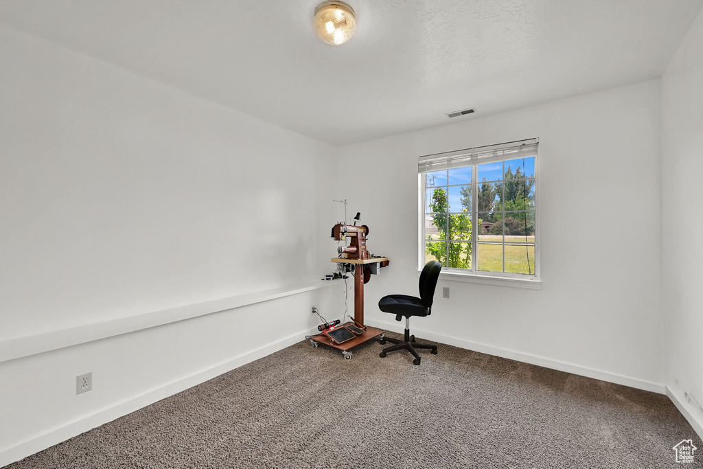 Office area featuring carpet flooring and baseboards