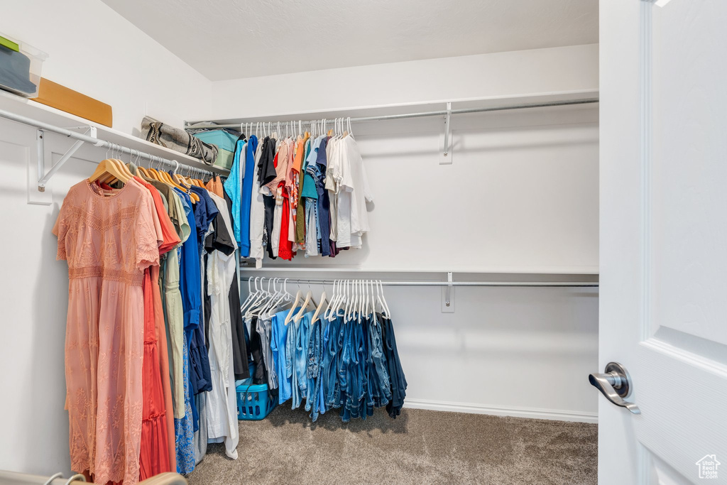 Spacious closet with carpet floors