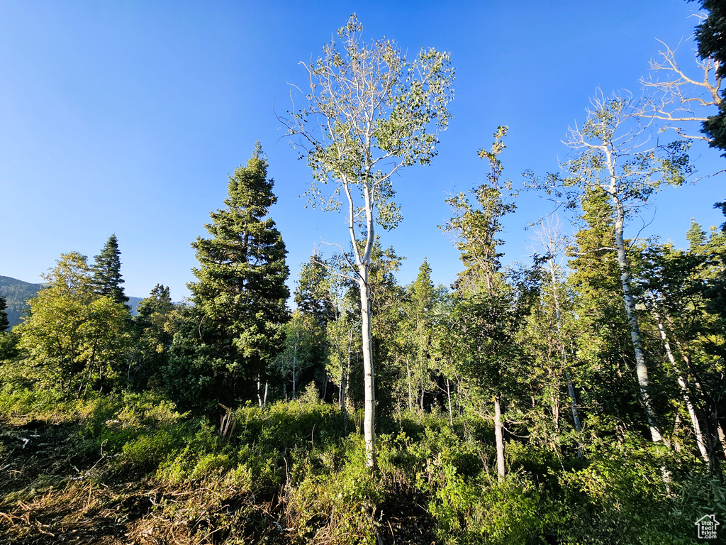 3940  DEER VALLEY DR Fairview, UT 84629