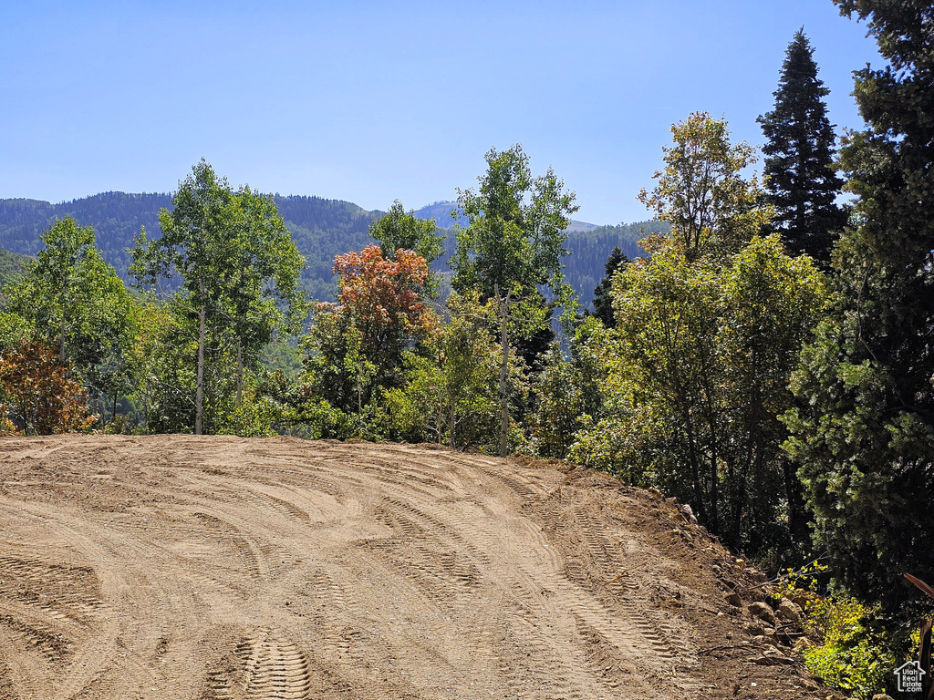 3940  DEER VALLEY DR Fairview, UT 84629
