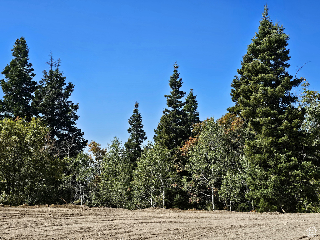 3940  DEER VALLEY DR Fairview, UT 84629