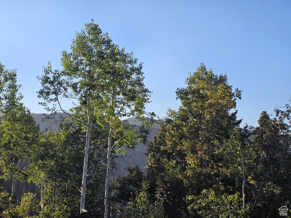 3940  DEER VALLEY DR Fairview, UT 84629