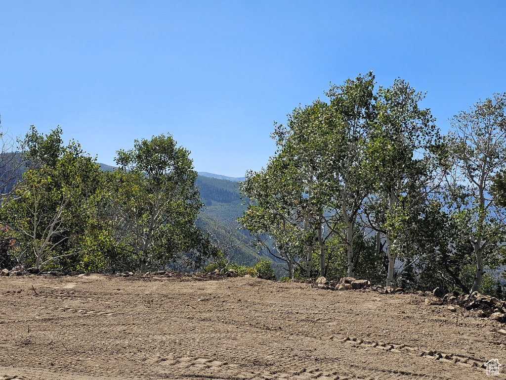 3940  DEER VALLEY DR Fairview, UT 84629