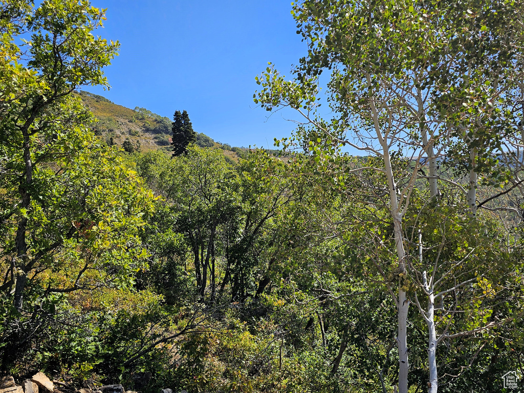 3940  DEER VALLEY DR Fairview, UT 84629