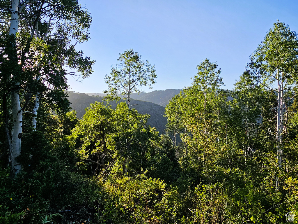 3940  DEER VALLEY DR Fairview, UT 84629