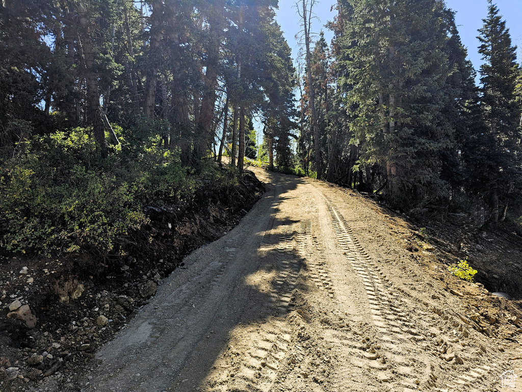 3940  DEER VALLEY DR Fairview, UT 84629