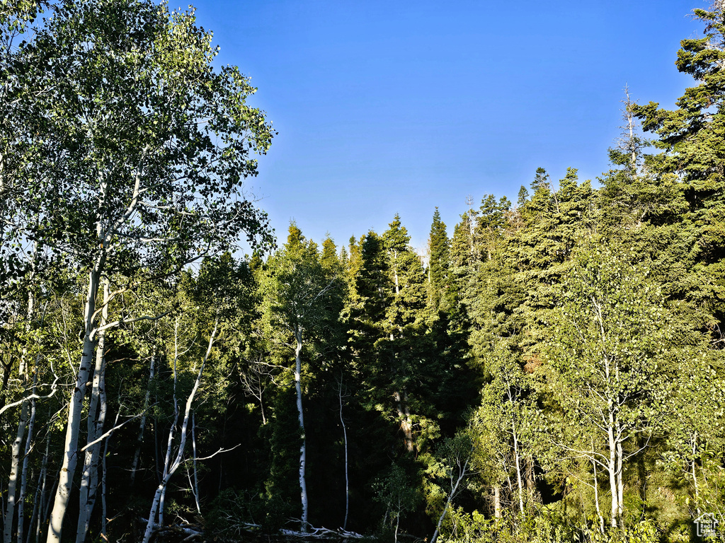 3940  DEER VALLEY DR Fairview, UT 84629