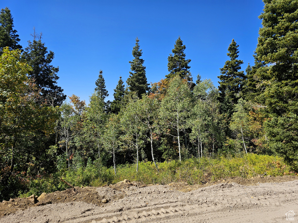 3940  DEER VALLEY DR Fairview, UT 84629