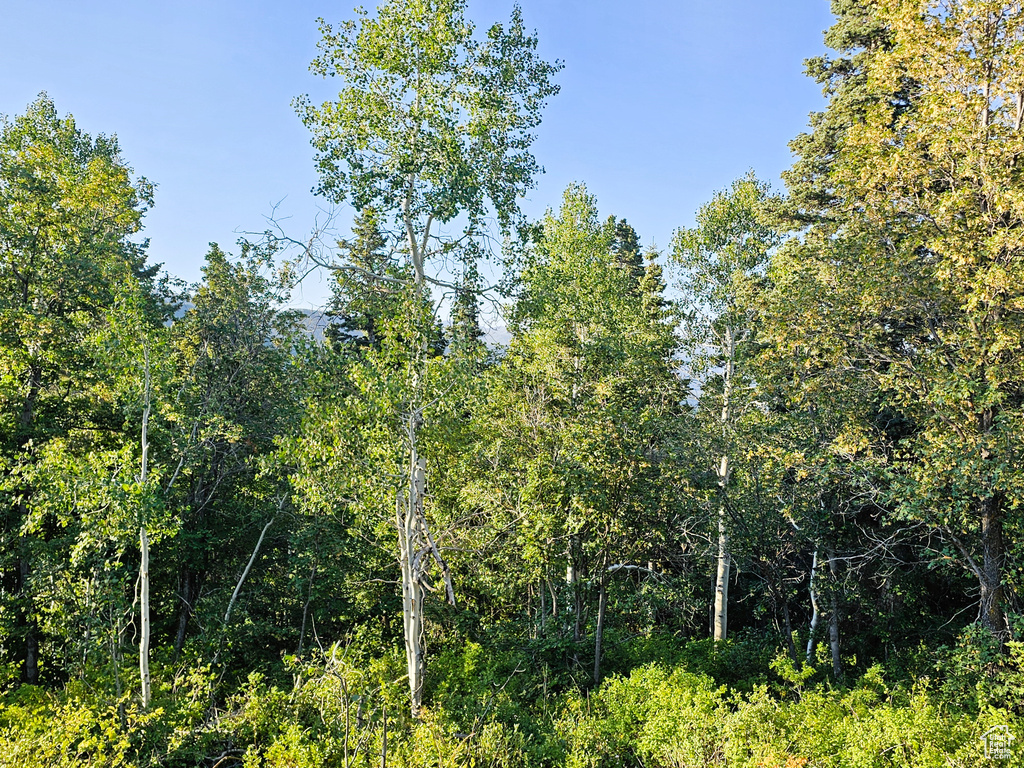 3940  DEER VALLEY DR Fairview, UT 84629