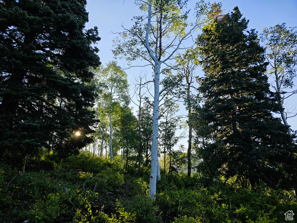3940  DEER VALLEY DR Fairview, UT 84629