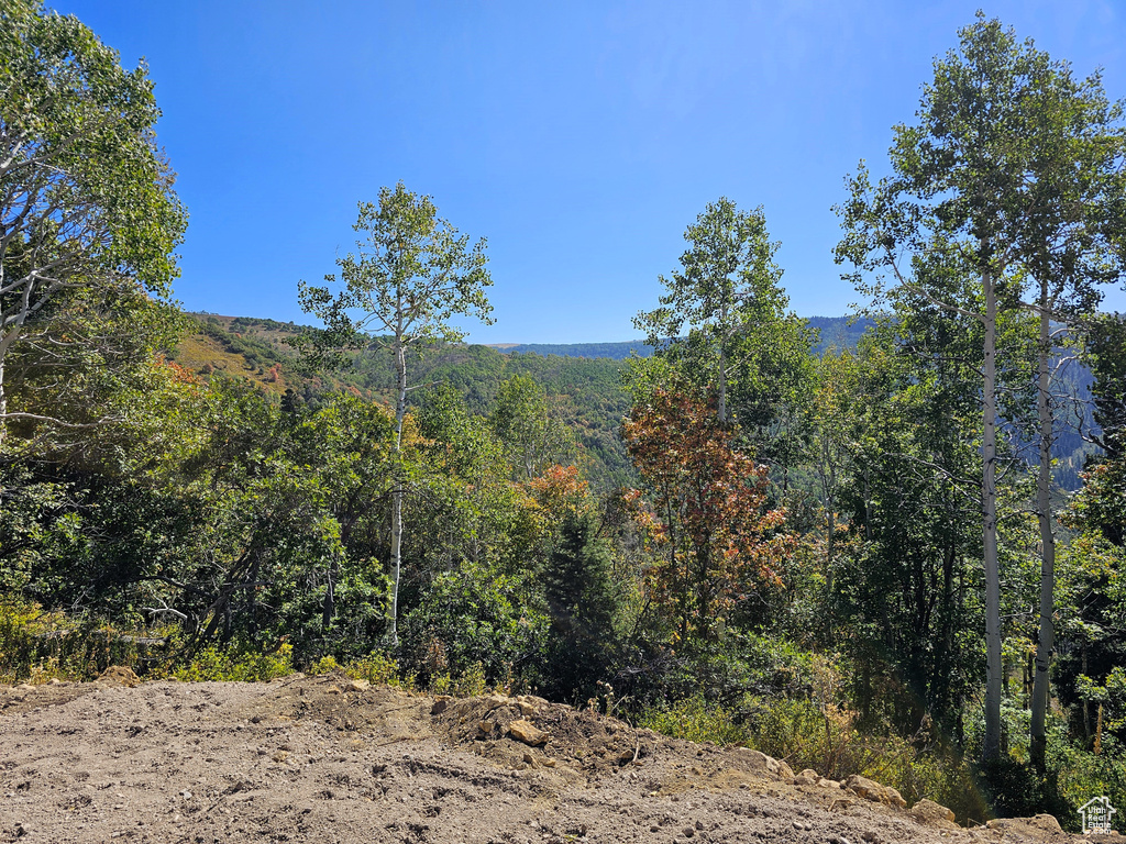 3940  DEER VALLEY DR Fairview, UT 84629