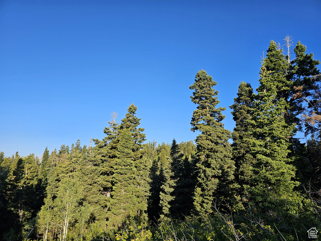3940  DEER VALLEY DR Fairview, UT 84629