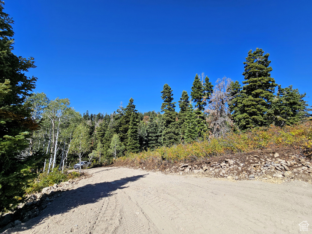 3940  DEER VALLEY DR Fairview, UT 84629